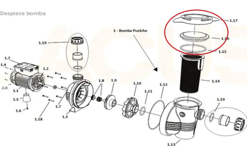 Imagen 2 de 7 de Tapa Y Clampa Con Oring Para Bomba Puelche Pileta Repuesto