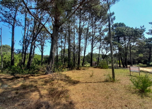 Imagen 2 de 7 de Terreno En Venta En Barra Verde
