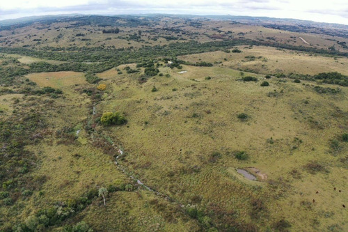 Venta De Campo De 70 Hectareas En Sierras De Garzon - Paso De La Cantera