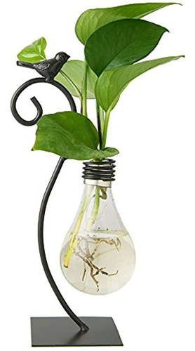 Desktop Glass Planter Hydroponics Jarron Con Forma De Bulbo