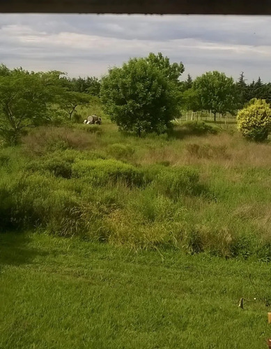 Lotes En Venta En La Lonja, Pilar