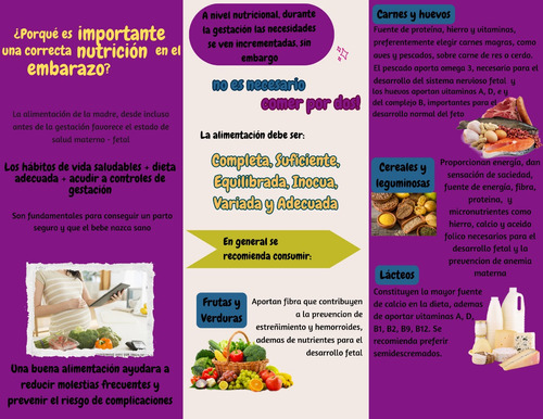 Asesorias Educativas Nutrición