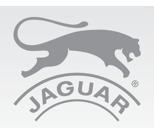 Zapatillas Deportivas Running Jaguar Casual Sport #9373