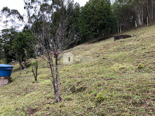 Chácara 3 Dorms, São Lourenço Da Serra - R$ 400 Mil, Cod: 3872 - V3872