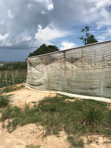 Chacara, 3.272 Mt, Com Duas Estufas E Poço Artesiano.
