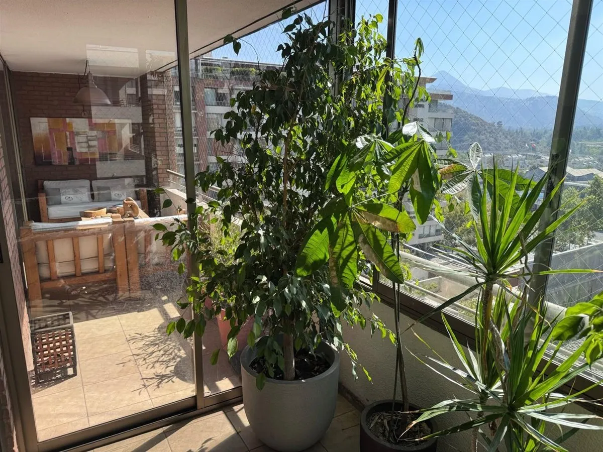 Imagen 1 de 13 de Remodelado De 4 D Con Oficina De Uso Exclusivo En Piso 1