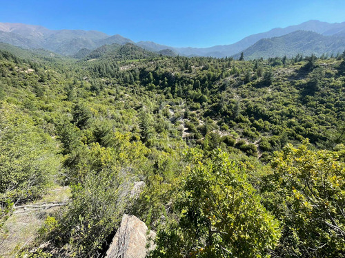 Precioso Y Amplio Terreno En Sierra De Bellavista