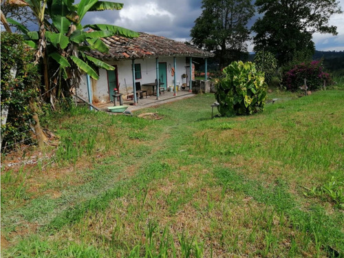 Linda Finca Casa Lote En Venta San Vicente