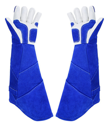 Guantes De Entrenamiento Para Mascotas, Largos, De Piel, Ant