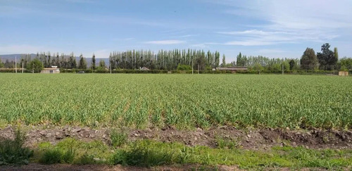 5300 M2 En Parcelacion, Acceso Pavimentado, Agua, Talagante