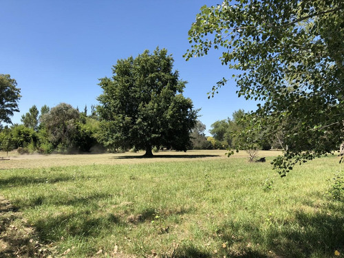 Imagen 3 de 12 de Campo En Venta En La Plata Ruta 215 Dacal Bienes Raices