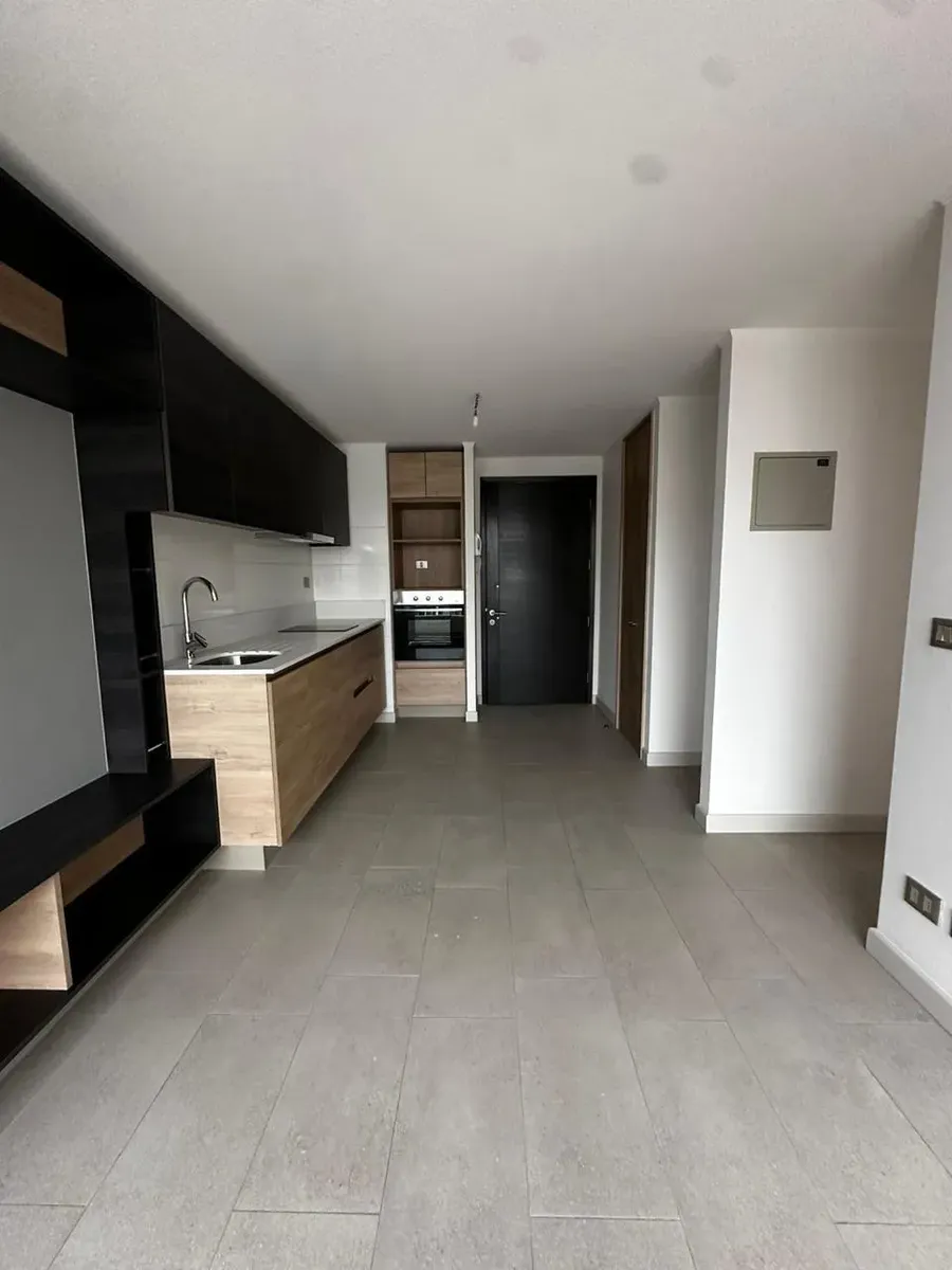 Imagen 3 de 18 de Arriendo Depto 2 Domitorios - Santiago -nuevo Sin Uso