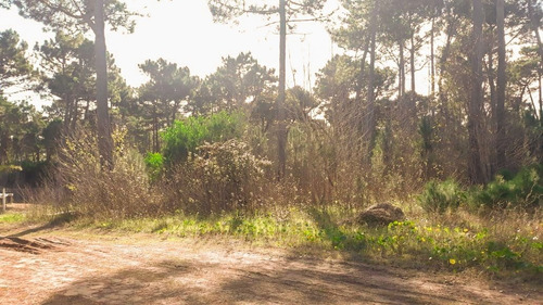 Imagen 2 de 3 de Lote En Venta En Cul De Sac - Alamos Ii
