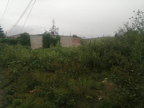 Terreno Habitacional En Venta En Montecillo, Texcoco, México