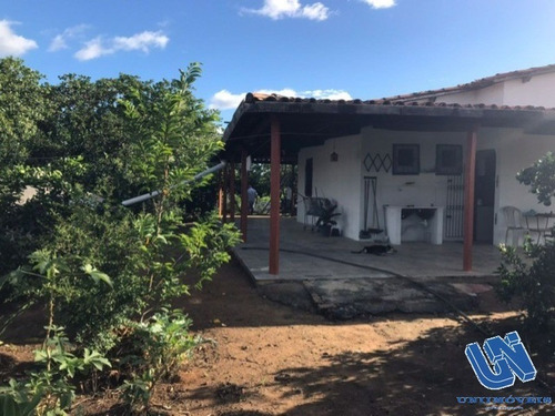 Imagem 17 de 17 de Fazenda Em Coração De Maria Com 50 Tarefas - Afd065 - 70725770