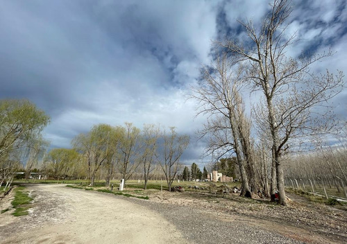 Lote En Venta Barrio Las Patricias, General Roca, Río Negro