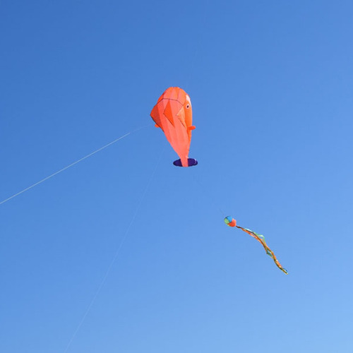 A Pipa Macia Sem Moldura Para Parapente Pipa Laranja Para
