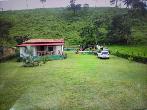 Imagen 1 de 10 de En Venta Hermosa Finca Via La Morita El Piñal
