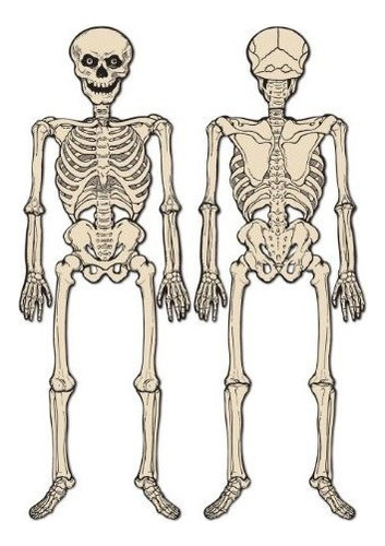 Beistle Jointed Esqueleto, 4-feet 3 Pulgada