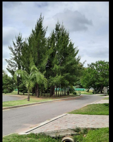 Imagen 6 de 9 de Terreno - Berazategui