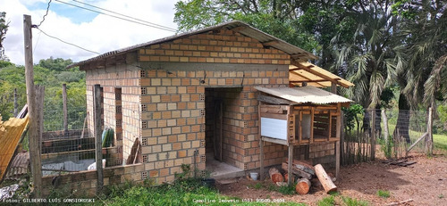 Imagem 7 de 15 de Fazenda Para Venda Em Barra Do Ribeiro, Douradilho - Barra Do Ribeiro - Rs, 3 Dormitórios, 2 Banheiros - 4010_1-1822734