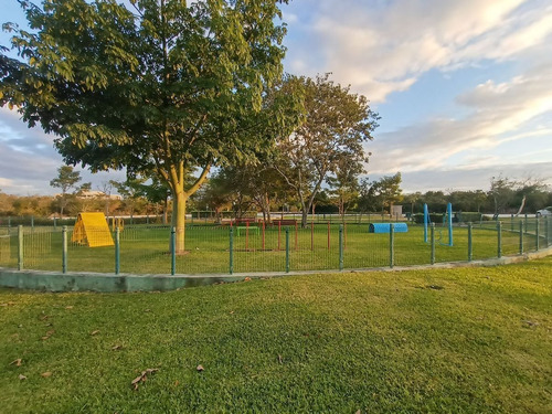 Imagen 27 de 30 de Terreno En Venta En Nortemerida