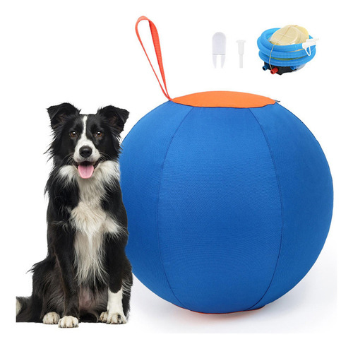 Petpetpelota De Entrenamiento Para Perros - Interactive Esse