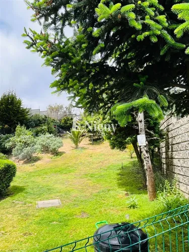 Dept En Arriendo De 3 Dorm. En Coracero, Viña Del Mar