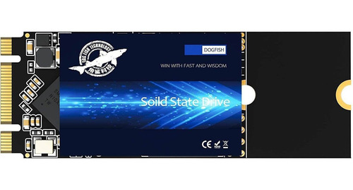 Ssd M.2 2260 250gb Dogfish Ngff Unidad De Estado Sólido Inte