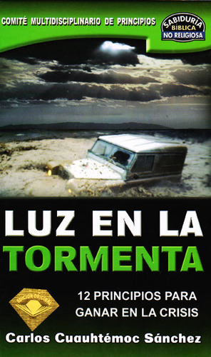 Luz En La Tormenta: 12 Principios Para Ganar En La Crisis, De Carlos Cuauhtémoc Sánchez. Serie 6077627050, Vol. 1. Editorial Ediciones Gaviota, Tapa Blanda, Edición 2009 En Español, 2009