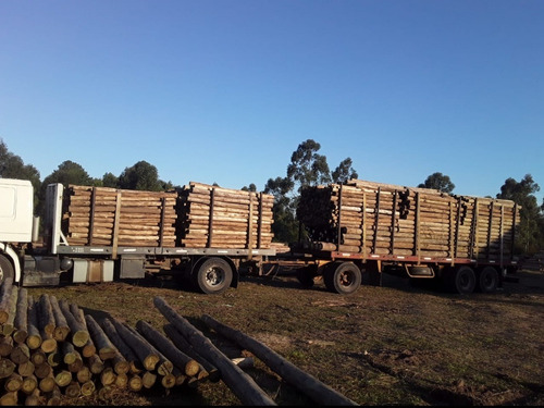 Postes De Eucalipto Impregnados Cca Por Mayor Equipo Camion