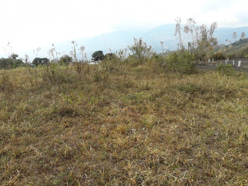 Imagen 3 de 6 de Terreno Villa Veronica San Rafael De Cordero