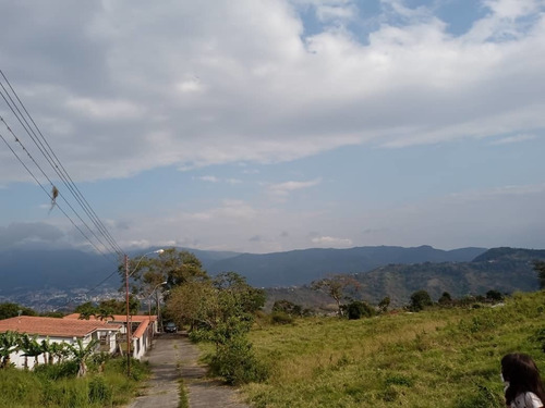 Imagen 7 de 8 de Lote De Terreno En El Valle 1.068mts