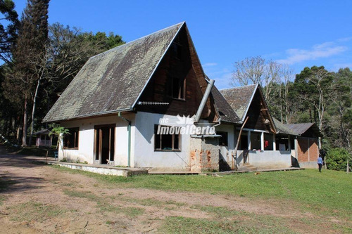 Imagem 11 de 30 de Chácara Rural À Venda, Areia Branca, Mandirituba. - Ch0004
