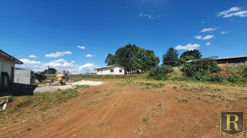 Terreno Para Locação Em Guarapuava, Industrial - _2-1184539