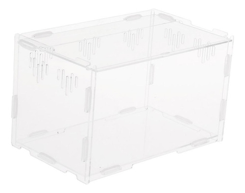 M Recipiente Para Terrarios De Reptiles S