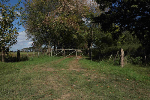 Imagen 3 de 25 de Venta Campo 83,3 Hectareas Agrícolas En Lima