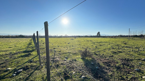 Vendo Sitio En Sector Los Guindos