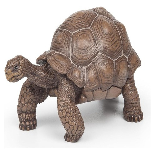Figura De Acción Tortuga Galapagos De Papo Vida Salvaje