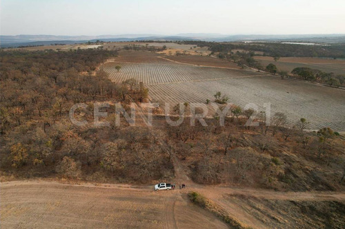 En Venta!!! Terreno Ubicado En Josefino De Allende, Jalisco.