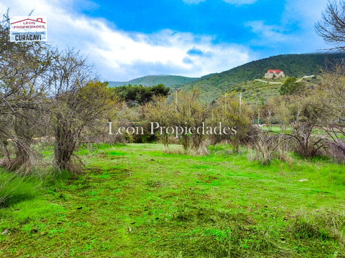 Leon Propiedades Vende O Permuta Parcela En Sector Cuyuncavi