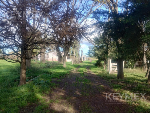 Campo En Virrey Del Pino