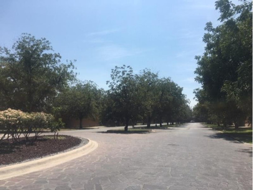 Imagen 5 de 7 de Terreno En Venta En Fraccionamiento Las Villas