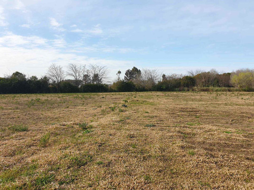 Imagen 3 de 5 de Fracción 35.000 M2 En Zelaya Límite San Sebastián