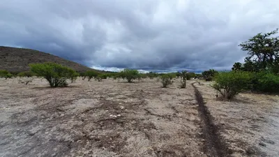 Terreno en venta