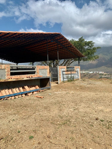 Imagen 9 de 17 de Finca En Parque Caiza A 10 Minutos De Caracas