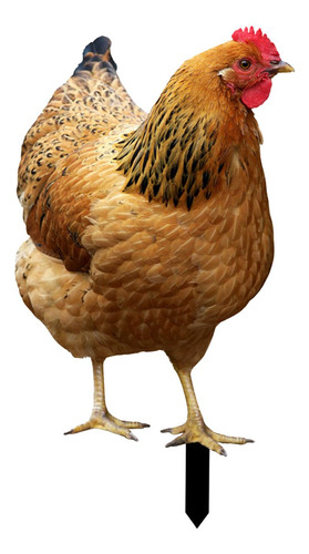 Estaca Decorativa Para Jardín De Pollo, 31,5 Cm X 17,4 Cm