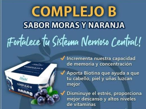 Complejo B Sabor Moras Polvo Para Preparar Bebida 20s Shelo