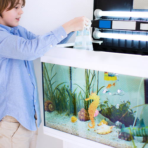 Accesorios Para Tanques Simulation Hippocampus Luminous, 2 U