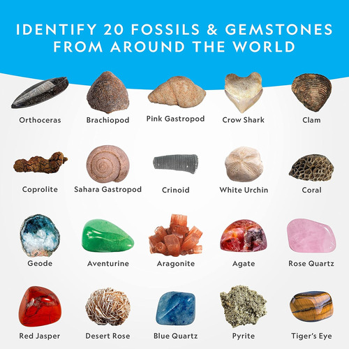 National Geographic - Kit De Excavación De Mega Fósiles Y Pi